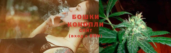 гашик Белокуриха