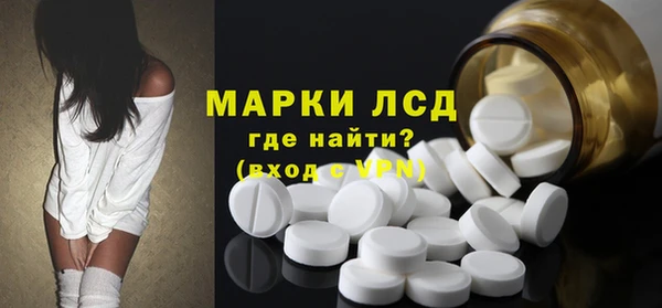 гашик Белокуриха