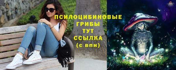 гашик Белокуриха