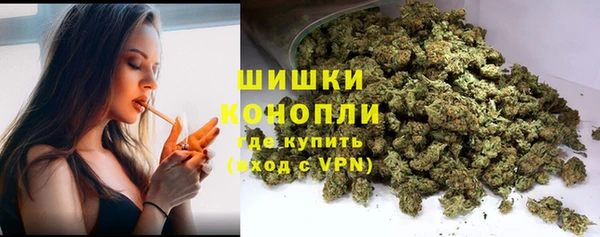 гашик Белокуриха