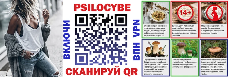 Купить  Нерюнгри  Псилоцибиновые грибы мицелий 